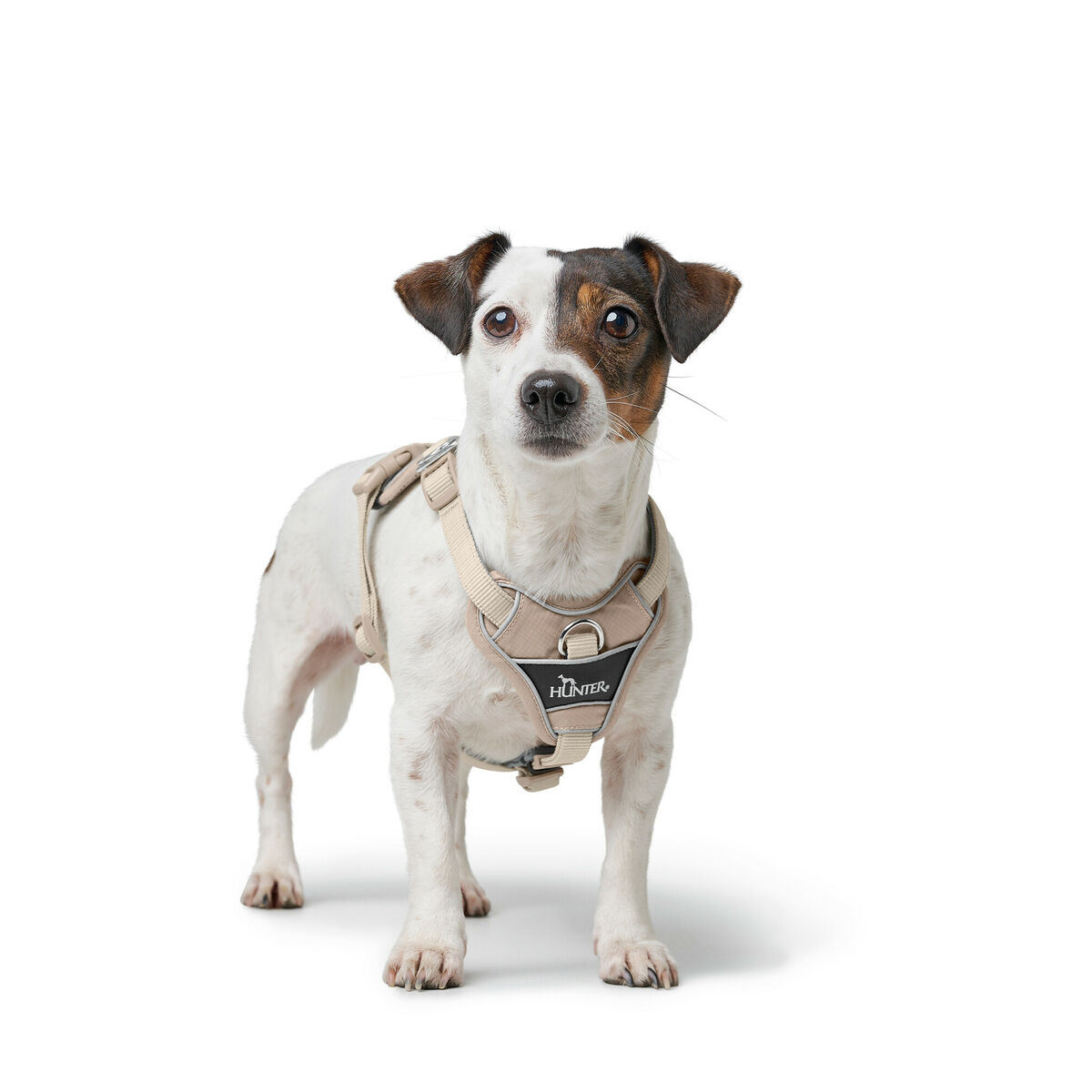 Hondentuigje Hunter DIVO UP Beige M